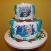 Frozen Elsa č. 2